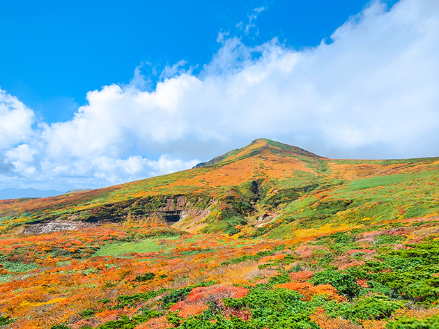 錦秋の栗駒山（イメージ）