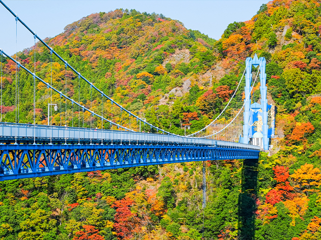 竜神大吊橋（イメージ）