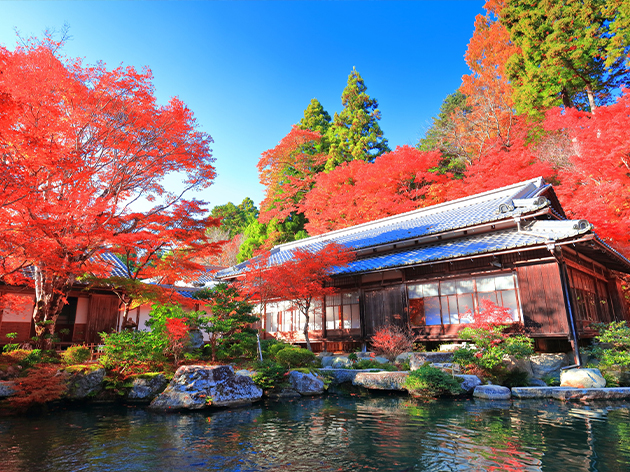百済寺の本坊庭園（イメージ）