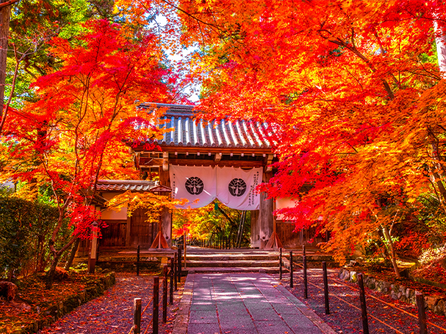 総本山光明寺（イメージ）