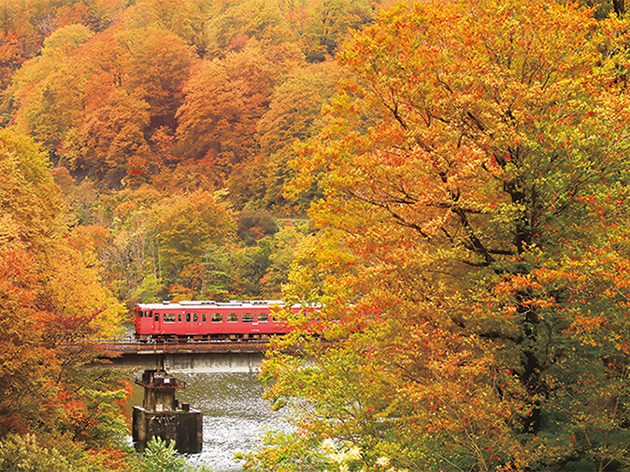 紅葉の只見線（イメージ）