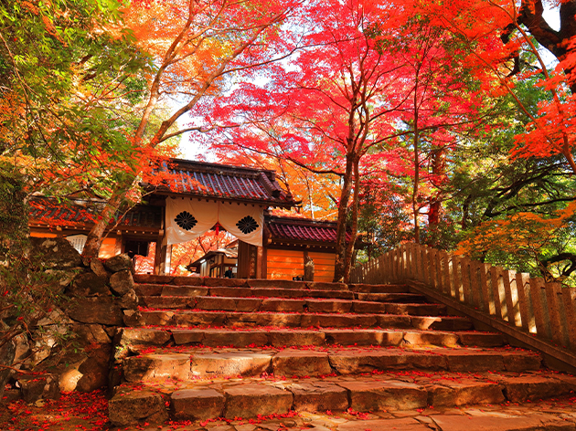 永源寺の総門（イメージ）