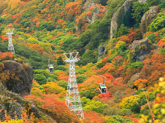 寒霞渓’（イメージ）