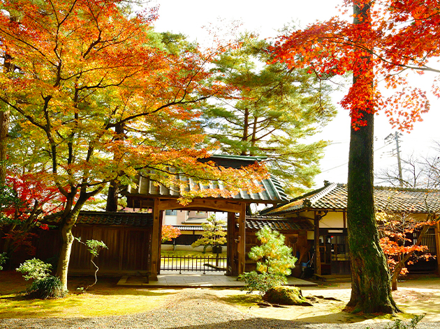 市島邸の紅葉（新潟県）