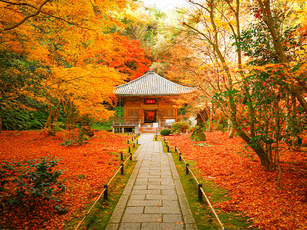 円通院（イメージ）