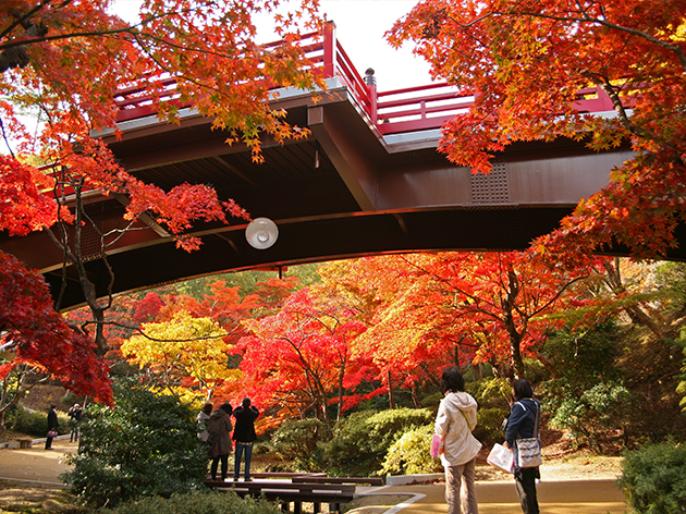 弥彦公園（イメージ）