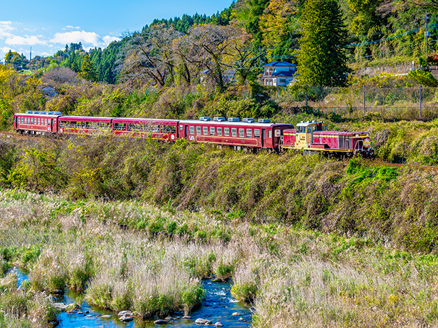 トロッコ列車（イメージ）
