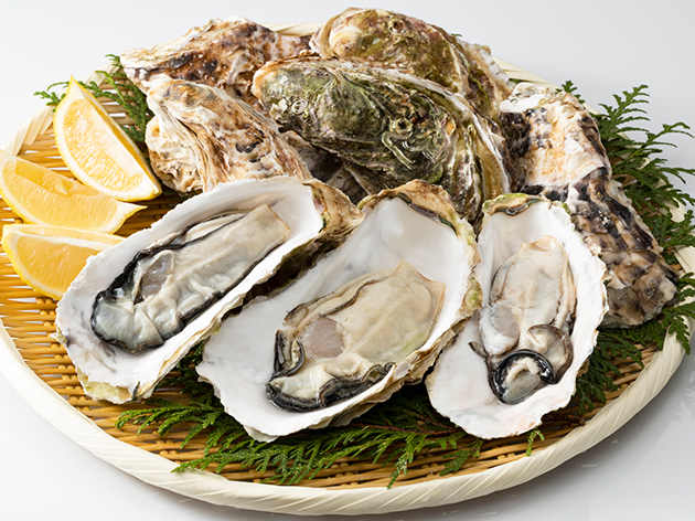 蒸し牡蠣（イメージ）
